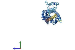 AlphaFold protein structure predicition of Mouse Recombinant Cers3 Protein, UniprotID Q1A3B0