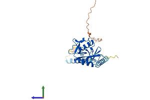 AlphaFold protein structure predicition of Mouse Recombinant Cd209d Protein, UniprotID Q91ZW8