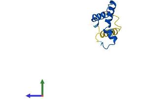 AlphaFold protein structure predicition of Human Recombinant DPY30 Protein, UniprotID Q9C005 (DPY30 Protein (AA 1-99) (His tag))