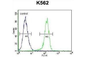 Flow Cytometry (FACS) image for anti-Myosin XIX (MYO19) antibody (ABIN2996064) (Myosin XIX 抗体)