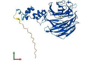 Protein Structure (PS) image for F-Box and WD Repeat Domain Containing 4 (FBXW4) (AA 1-410) protein (His tag) (ABIN7561716)