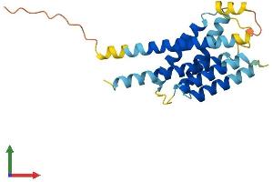 AlphaFold protein structure predicition of Human Recombinant INSIG2 Protein, UniprotID Q9Y5U4