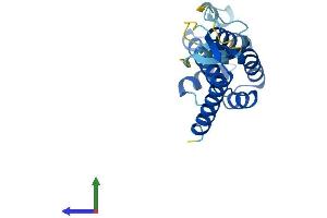 Protein Structure (PS) image for COMM Domain Containing 3 (COMMD3) (AA 1-195) protein (His tag) (ABIN7557797)