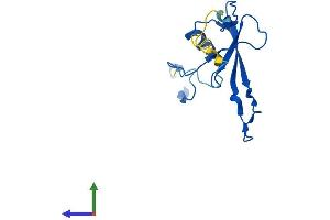 Protein Structure (PS) image for Mitochondrial Ribosomal Protein L23 (MRPL23) (AA 1-146) protein (His tag) (ABIN7562395)
