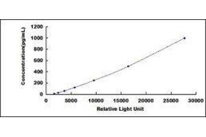 ELISA image for Heparin-Binding EGF-Like Growth Factor (HBEGF) CLIA Kit (ABIN1081508)