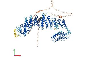 Protein Structure (PS) image for C-Maf Inducing Protein (CMIP) (AA 1-773) protein (His tag) (ABIN7560975)