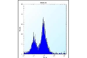PEX14 Antibody (Center) (ABIN656491 and ABIN2845768) flow cytometric analysis of Neuro-2a cells (right histogram) compared to a negative control cell (left histogram). (PEX14 抗体  (AA 121-150))