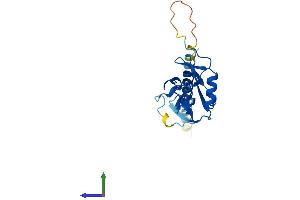 Protein Structure (PS) image for Killer Cell Lectin-Like Receptor Subfamily D, Member 1 (KLRD1) (AA 1-179) protein (His tag) (ABIN7562400)