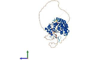 Protein Structure (PS) image for TBC1 Domain Family, Member 10A (TBC1D10A) (AA 1-508) protein (His tag) (ABIN7544164)