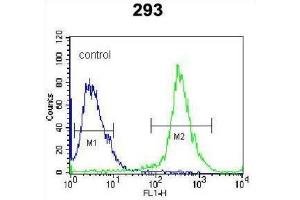 Flow Cytometry (FACS) image for anti-Dual Specificity Phosphatase 6 (DUSP6) antibody (ABIN3003763) (DUSP6 抗体)