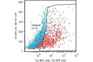 Flow cytometry detection of DDIT4L in DDIT4L-transfected Hek293 cells using the mouse monoclonal antibody DDIT-03 PE. (DDIT4L 抗体  (AA 2-98) (PE))