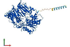 Protein Structure (PS) image for Fibroblast Activation Protein, alpha (FAP) (AA 1-760) protein (His tag) (ABIN7555516)