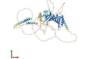 Protein Structure (PS) image for Aryl Hydrocarbon Receptor Nuclear Translocator-Like 2 (ARNTL2) (AA 1-636) protein (His tag) (ABIN7552876)