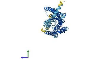 Protein Structure (PS) image for Olfactory Receptor, Family 5, Subfamily P, Member 3 (OR5P3) (AA 1-311) protein (His tag) (ABIN7550179)