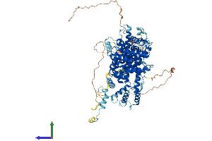 Protein Structure (PS) image for Striatin Interacting Protein 2 (STRIP2) (AA 1-844) protein (His tag) (ABIN7559205)