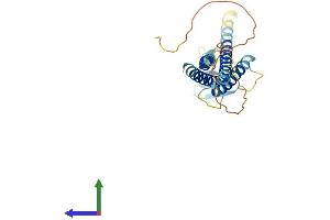 Protein Structure (PS) image for Claudin 18 (CLDN18) (AA 1-261) protein (His tag) (ABIN7546594)