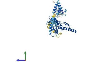Protein Structure (PS) image for Transcriptional Adaptor 2B (TADA2B) (AA 1-420) protein (His tag) (ABIN7544090)