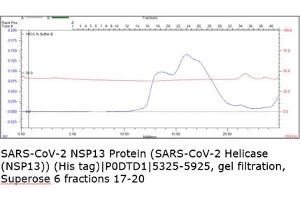 Size-exclusion chromatography-High Pressure Liquid Chromatography (SEC-HPLC) image for SARS-CoV-2 Helicase (NSP13) (HEL) protein (His tag) (ABIN6952696)