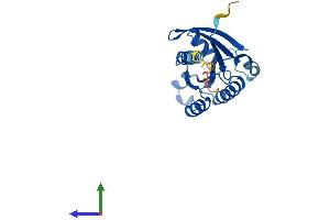 Protein Structure (PS) image for RAB24, Member RAS Oncogene Family (RAB24) (AA 1-203) protein (His tag) (ABIN7563160)