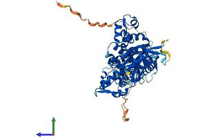 AlphaFold protein structure predicition of Human Recombinant DNTT Protein, UniprotID P04053