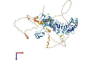 FBXL19 Protein (AA 1-674) (His tag)