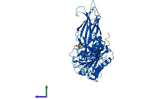 Protein Structure (PS) image for Copine III (CPNE3) (AA 1-533) protein (His tag) (ABIN7558869)