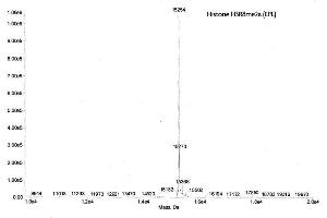 Mass Spectrometry (MS) image for Histone 3 (H3) (H3R8me2a) protein (ABIN2669564) (Histone 3 Protein (H3) (H3R8me2a))