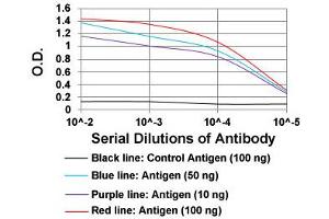 ELISA analysis of PLA2G12A monoclonal antibody, clone 7C7C9  at 1:10000 dilution. (PLA2G12A 抗体  (AA 21-189))