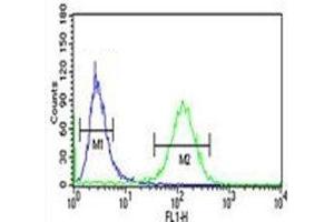 RAB27B antibody flow cytometric analysis of NCI-H460 cells (green) compared to a negative control (blue). (RAB27B 抗体  (AA 186-215))