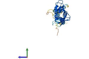 AlphaFold protein structure predicition of Mouse Recombinant Rpain Protein, UniprotID Q9CWY9