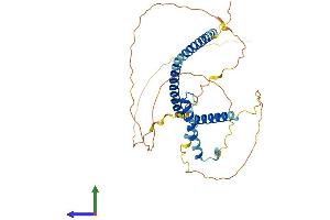 Protein Structure (PS) image for Hexamethylene Bis-Acetamide Inducible 1 (HEXIM1) (AA 1-356) protein (His tag) (ABIN7559753)