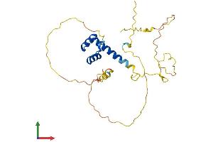 Protein Structure (PS) image for NK2 Homeobox 2 (Nkx2-2) (AA 1-273) protein (His tag) (ABIN7549767)