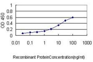Detection limit for recombinant GST tagged HSPE1 is approximately 0. (HSPE1 抗体  (AA 1-102))