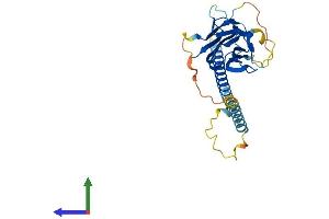 Protein Structure (PS) image for Tumor Necrosis Factor (Ligand) Superfamily, Member 10 (TNFSF10) (AA 1-291) protein (His tag) (ABIN7563368)