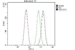 Flow Cytometry analysis of U87 cells using anti-MAG antibody (ABIN7601399).