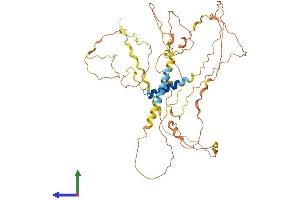 Protein Structure (PS) image for Fibrosin (FBS) (AA 1-466) protein (His tag) (ABIN7559624)