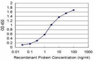 Detection limit for recombinant GST tagged BOLL is approximately 0.