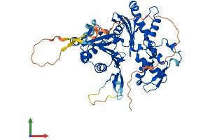 AlphaFold protein structure predicition of Mouse Recombinant Actl7a Protein, UniprotID Q9QY84