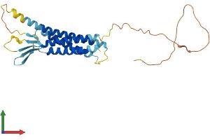 Protein Structure (PS) image for Claudin 18 (CLDN18) (AA 1-264) protein (His tag) (ABIN7556497)