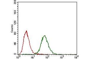 Flow cytometric analysis of NIH/3T3 cells using FGF4 mouse mAb (green) and negative control (red). (FGF4 抗体  (AA 62-123))
