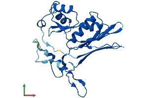 AlphaFold protein structure predicition of Human Recombinant GGTLC1 Protein, UniprotID Q9BX51