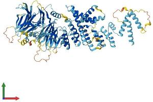 AlphaFold protein structure predicition of Mouse Recombinant Gsap Protein, UniprotID Q3TCV3