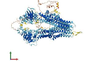 Protein Structure (PS) image for ATP-Binding Cassette, Sub-Family C (CFTR/MRP), Member 5 (ABCC5) (AA 1-1436) protein (His tag) (ABIN7565195)