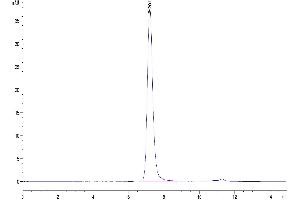 Size-exclusion chromatography-High Pressure Liquid Chromatography (SEC-HPLC) image for Albumin (ALB) (AA 25-609) protein (His-Avi Tag,Biotin) (ABIN7273984)