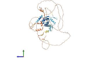 Protein Structure (PS) image for Zinc Finger and BTB Domain Containing 3 (ZBTB3) (AA 1-574) protein (His tag) (ABIN7545721)