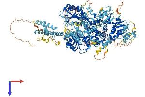 DHX34 Protein (AA 1-1145) (His tag)