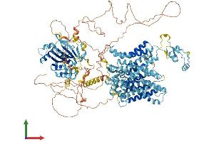 Protein Structure (PS) image for Solute Carrier Family 4, Sodium Bicarbonate Cotransporter, Member 7 (SLC4A7) (AA 1-1214) protein (His tag) (ABIN7555408)