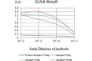 Black line: Control Antigen (100 ng),Purple line: Antigen (10 ng), Blue line: Antigen (50 ng), Red line:Antigen (100 ng) (LSD1 抗体  (AA 709-876))