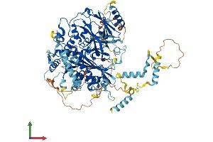 Protein Structure (PS) image for FIG4 Homolog, SAC1 Lipid Phosphatase Domain Containing (FIG4) (AA 1-907) protein (His tag) (ABIN7553895)