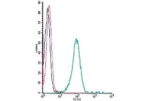 Flow Cytometry (FACS) image for anti-Potassium Voltage-Gated Channel, Shaker-Related Subfamily, Member 3 (KCNA3) (AA 263-276), (Extracellular) antibody (ABIN7043521)